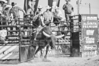 Binbrook Fair - Ram Rodeo Tour - Rodeo Photographer - Equine Photographer - Petes Photography or Petes Western - September 14 2024