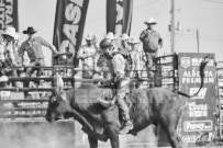 Binbrook Fair - Ram Rodeo Tour - Rodeo Photographer - Equine Photographer - Petes Photography or Petes Western - September 14 2024