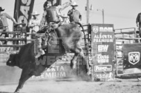 Binbrook Fair - Ram Rodeo Tour - Rodeo Photographer - Equine Photographer - Petes Photography or Petes Western - September 14 2024