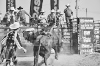 Binbrook Fair - Ram Rodeo Tour - Rodeo Photographer - Equine Photographer - Petes Photography or Petes Western - September 14 2024