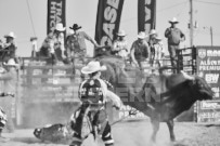 Binbrook Fair - Ram Rodeo Tour - Rodeo Photographer - Equine Photographer - Petes Photography or Petes Western - September 14 2024