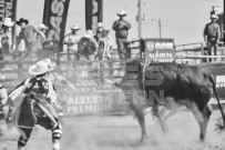 Binbrook Fair - Ram Rodeo Tour - Rodeo Photographer - Equine Photographer - Petes Photography or Petes Western - September 14 2024