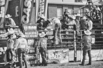 Binbrook Fair - Ram Rodeo Tour - Rodeo Photographer - Equine Photographer - Petes Photography or Petes Western - September 14 2024