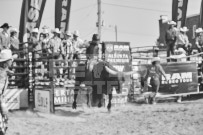 Binbrook Fair - Ram Rodeo Tour - Rodeo Photographer - Equine Photographer - Petes Photography or Petes Western - September 14 2024