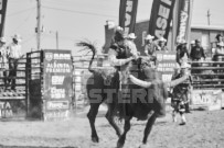 Binbrook Fair - Ram Rodeo Tour - Rodeo Photographer - Equine Photographer - Petes Photography or Petes Western - September 14 2024