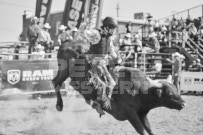 Binbrook Fair - Ram Rodeo Tour - Rodeo Photographer - Equine Photographer - Petes Photography or Petes Western - September 14 2024