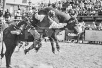 Binbrook Fair - Ram Rodeo Tour - Rodeo Photographer - Equine Photographer - Petes Photography or Petes Western - September 14 2024