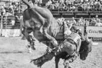 Binbrook Fair - Ram Rodeo Tour - Rodeo Photographer - Equine Photographer - Petes Photography or Petes Western - September 14 2024