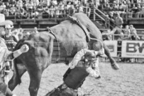 Binbrook Fair - Ram Rodeo Tour - Rodeo Photographer - Equine Photographer - Petes Photography or Petes Western - September 14 2024