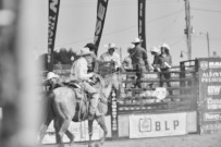 Binbrook Fair - Ram Rodeo Tour - Rodeo Photographer - Equine Photographer - Petes Photography or Petes Western - September 14 2024