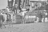 Binbrook Fair - Ram Rodeo Tour - Rodeo Photographer - Equine Photographer - Petes Photography or Petes Western - September 14 2024