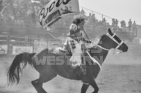 Binbrook Fair - Ram Rodeo Tour - Rodeo Photographer - Equine Photographer - Petes Photography or Petes Western - September 14 2024