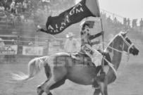 Binbrook Fair - Ram Rodeo Tour - Rodeo Photographer - Equine Photographer - Petes Photography or Petes Western - September 14 2024