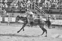 Binbrook Fair - Ram Rodeo Tour - Rodeo Photographer - Equine Photographer - Petes Photography or Petes Western - September 14 2024