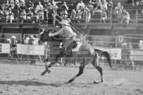 Binbrook Fair - Ram Rodeo Tour - Rodeo Photographer - Equine Photographer - Petes Photography or Petes Western - September 14 2024