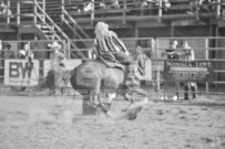 Binbrook Fair - Ram Rodeo Tour - Rodeo Photographer - Equine Photographer - Petes Photography or Petes Western - September 14 2024