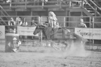 Binbrook Fair - Ram Rodeo Tour - Rodeo Photographer - Equine Photographer - Petes Photography or Petes Western - September 14 2024