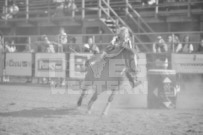 Binbrook Fair - Ram Rodeo Tour - Rodeo Photographer - Equine Photographer - Petes Photography or Petes Western - September 14 2024