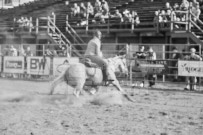 Binbrook Fair - Ram Rodeo Tour - Rodeo Photographer - Equine Photographer - Petes Photography or Petes Western - September 14 2024