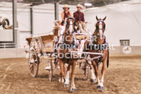 Petes Equine Photography of the draft horse hitch and mini horse competitions at the 2024 Ancaster Fair.