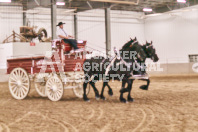 Petes Equine Photography of the draft horse hitch and mini horse competitions at the 2024 Ancaster Fair.