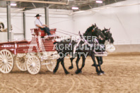 Petes Equine Photography of the draft horse hitch and mini horse competitions at the 2024 Ancaster Fair.