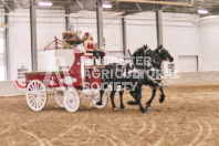 Petes Equine Photography of the draft horse hitch and mini horse competitions at the 2024 Ancaster Fair.