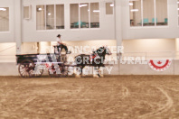 Petes Equine Photography of the draft horse hitch and mini horse competitions at the 2024 Ancaster Fair.