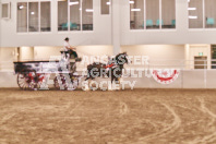 Petes Equine Photography of the draft horse hitch and mini horse competitions at the 2024 Ancaster Fair.