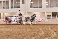 Petes Equine Photography of the draft horse hitch and mini horse competitions at the 2024 Ancaster Fair.