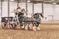 Petes Equine Photography of the draft horse hitch and mini horse competitions at the 2024 Ancaster Fair.