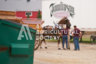 Petes Equine Photography of the draft horse hitch and mini horse competitions at the 2024 Ancaster Fair.