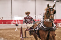 Petes Equine Photography of the draft horse hitch and mini horse competitions at the 2024 Ancaster Fair.