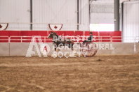 Petes Equine Photography of the draft horse hitch and mini horse competitions at the 2024 Ancaster Fair.