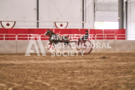 Petes Equine Photography of the draft horse hitch and mini horse competitions at the 2024 Ancaster Fair.