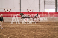 Petes Equine Photography of the draft horse hitch and mini horse competitions at the 2024 Ancaster Fair.