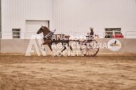 Petes Equine Photography of the draft horse hitch and mini horse competitions at the 2024 Ancaster Fair.