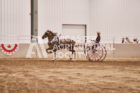 Petes Equine Photography of the draft horse hitch and mini horse competitions at the 2024 Ancaster Fair.