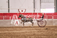 Petes Equine Photography of the draft horse hitch and mini horse competitions at the 2024 Ancaster Fair.