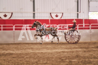 Petes Equine Photography of the draft horse hitch and mini horse competitions at the 2024 Ancaster Fair.