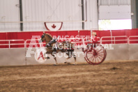 Petes Equine Photography of the draft horse hitch and mini horse competitions at the 2024 Ancaster Fair.