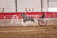 Petes Equine Photography of the draft horse hitch and mini horse competitions at the 2024 Ancaster Fair.