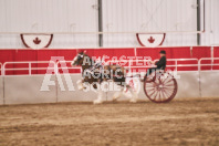 Petes Equine Photography of the draft horse hitch and mini horse competitions at the 2024 Ancaster Fair.