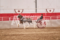 Petes Equine Photography of the draft horse hitch and mini horse competitions at the 2024 Ancaster Fair.