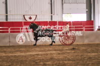 Petes Equine Photography of the draft horse hitch and mini horse competitions at the 2024 Ancaster Fair.