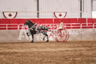 Petes Equine Photography of the draft horse hitch and mini horse competitions at the 2024 Ancaster Fair.