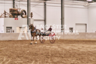 Petes Equine Photography of the draft horse hitch and mini horse competitions at the 2024 Ancaster Fair.