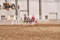 Petes Equine Photography of the draft horse hitch and mini horse competitions at the 2024 Ancaster Fair.