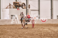 Petes Equine Photography of the draft horse hitch and mini horse competitions at the 2024 Ancaster Fair.