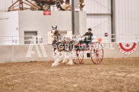 Petes Equine Photography of the draft horse hitch and mini horse competitions at the 2024 Ancaster Fair.